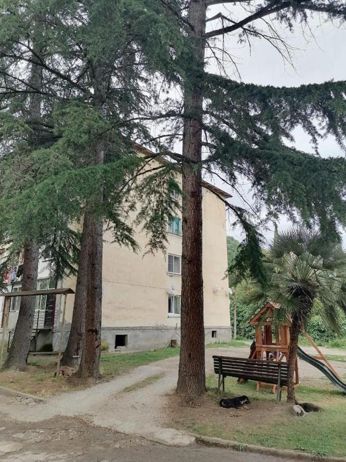 Apartmán Sophia New Athos Exteriér fotografie